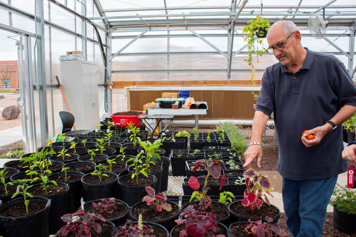 man watering plants in a greenhouse