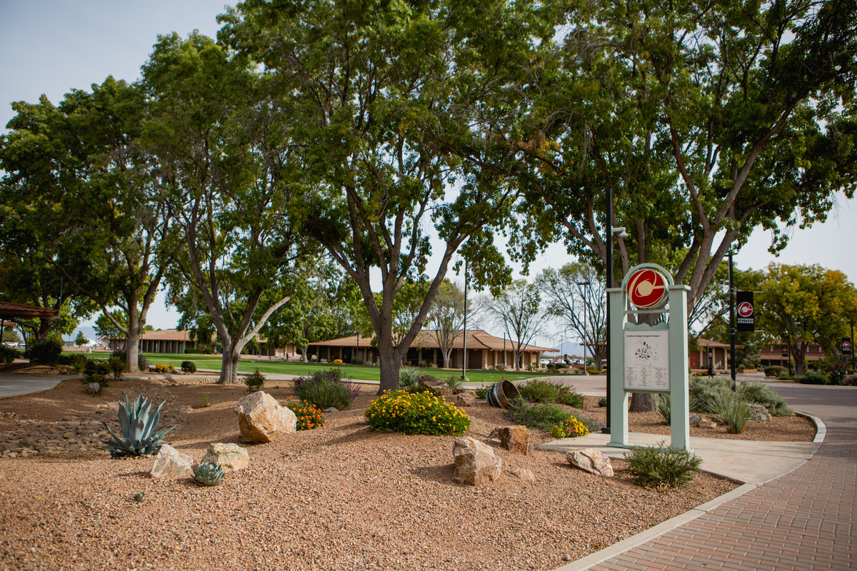 students walking