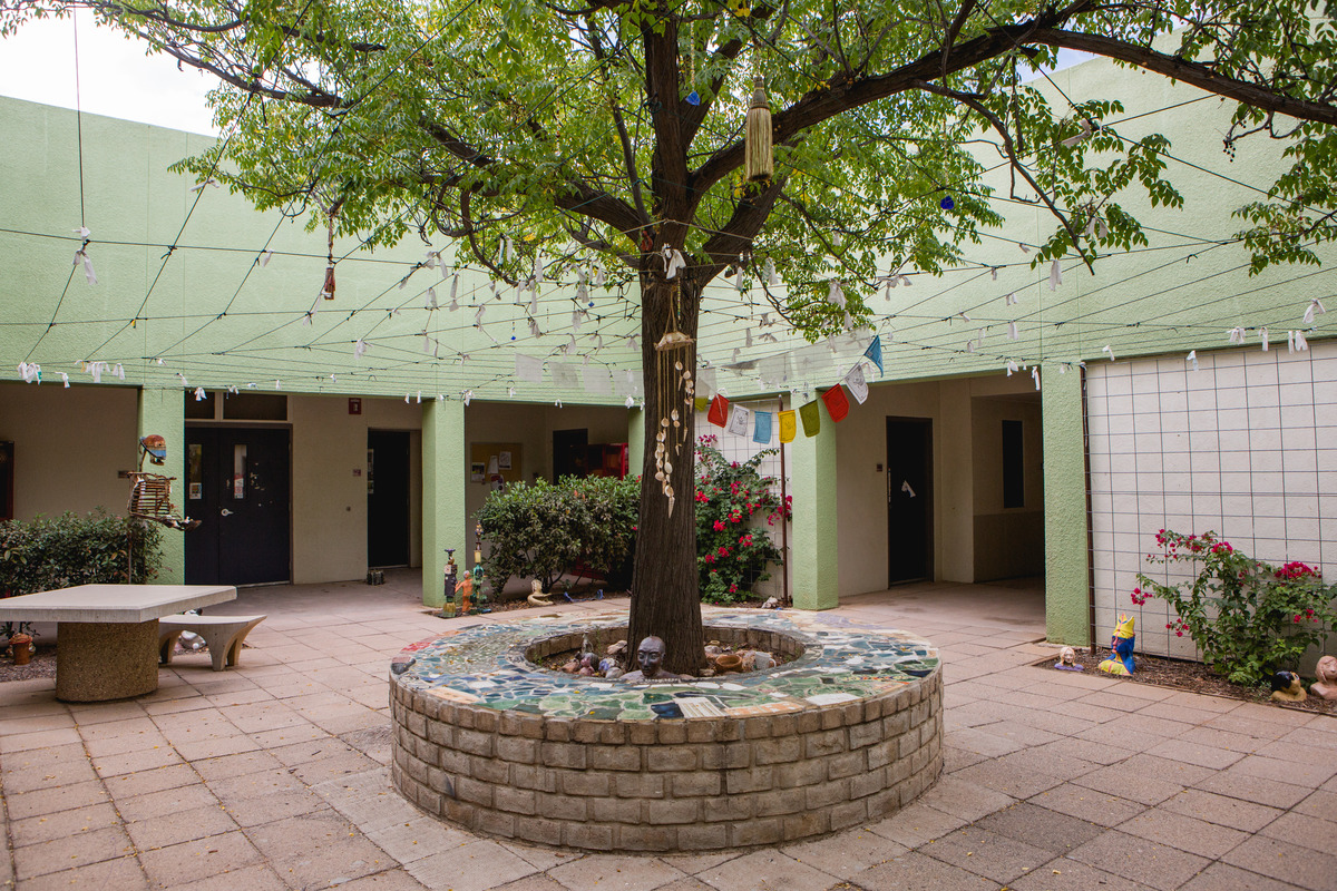 tree with flags