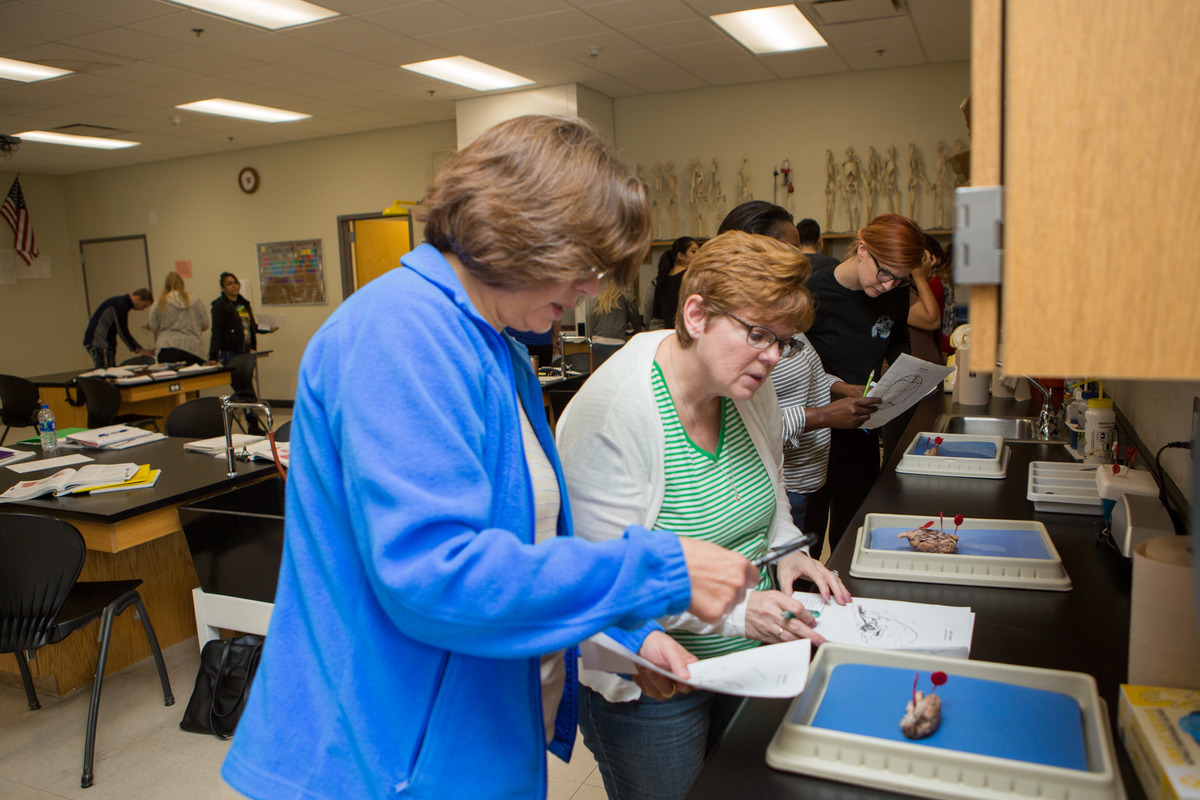 Students in A Biology Lab